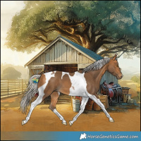 Horse Color:Silver Buckskin Tobiano 