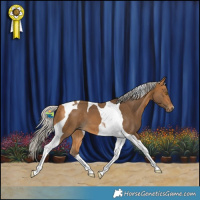 Horse Color:Silver Buckskin Tobiano