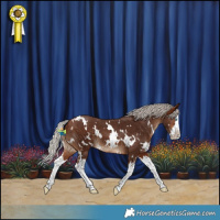 Horse Color:White Spotted Silver Bay Splash 