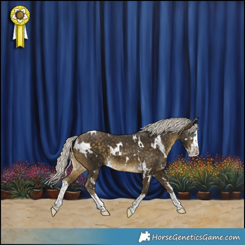 Horse Color:White Spotted Silver Buckskin Splash 