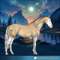 Horse Color:Silver Sable Cream Champagne Dun Sabino Splash