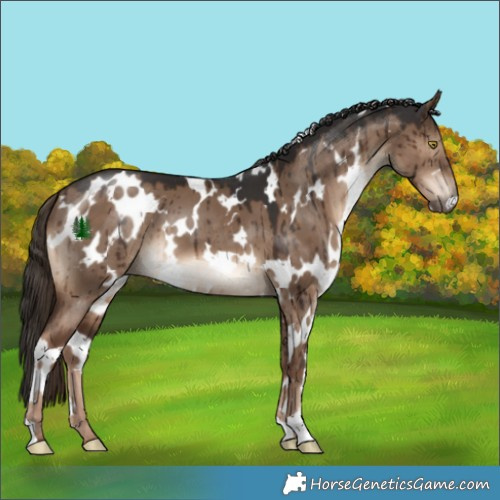 Horse Color:White Spotted Liver Red Dun Brindle 