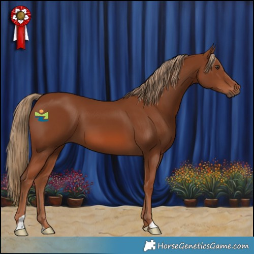 Horse Color:Chestnut 