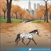 Horse Color:White Spotted Liver Chestnut Blanket 