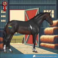Horse Color:Brown Tobiano 