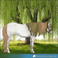 Horse Color:Watercolor White Spotted Liver Red Onyx Ice Roan Brindle 