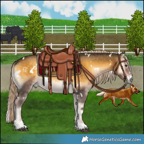 Horse Color:White Spotted Chocolate Palomino Onyx Mushroom 