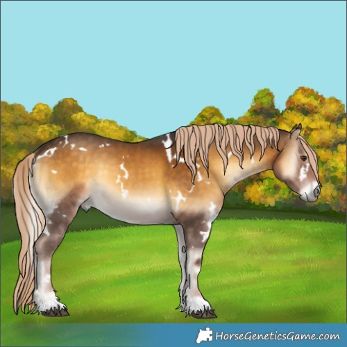 Horse Color:White Spotted Chocolate Palomino Onyx Mushroom 