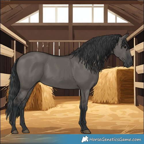 Horse Color:Grullo 