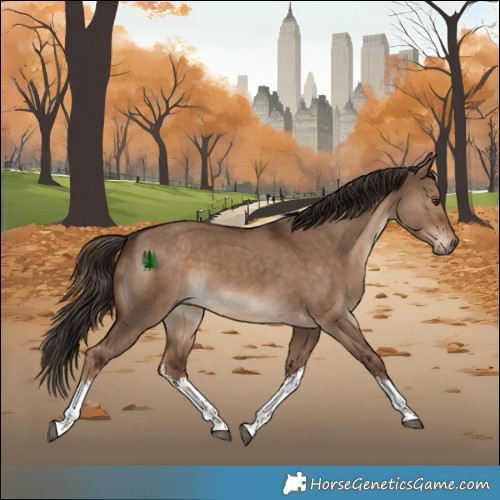 Horse Color:White Spotted Liver Red Dun 