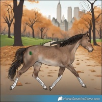 Horse Color:White Spotted Liver Red Dun 