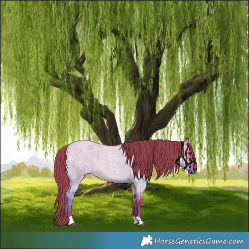 Horse Color:Watercolor Liver Red Dun Roan 