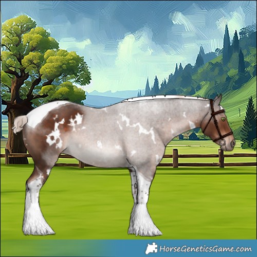 Horse Color:White Spotted Liver Chestnut Tobiano 