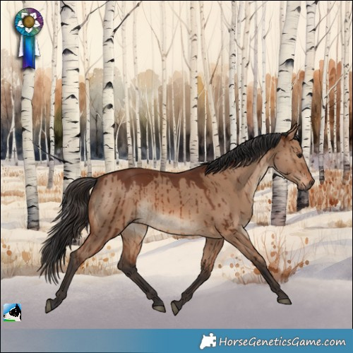 Horse Color:Brown Dun Rabicano Brindle