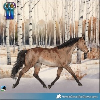 Horse Color:Brown Dun Rabicano Brindle 