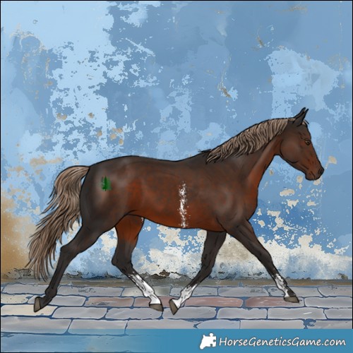 Horse Color:Liver Chestnut Sabino 