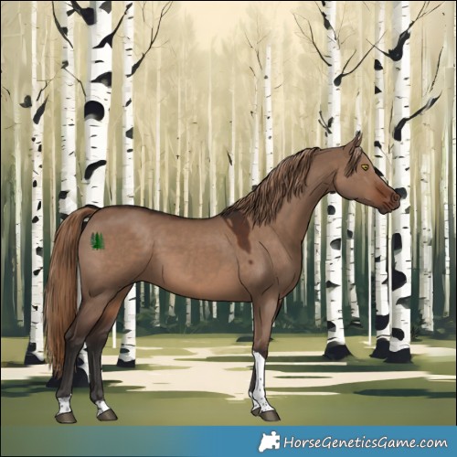 Horse Color:Liver Red Dun Tobiano 