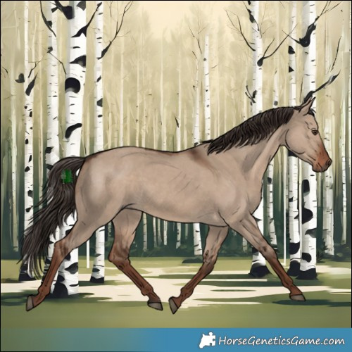 Horse Color:White Spotted Liver Red Dun Rabicano 