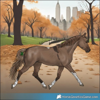 Horse Color:Liver Red Dun Tobiano