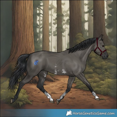Horse Color:Grullo Sabino Rabicano
