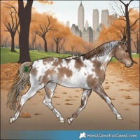 Horse Color:White Spotted Liver Red Dun 