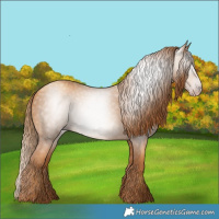 Horse Color:Gray Gold Champagne 
