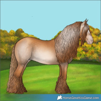 Horse Color:Gray Gold Champagne 