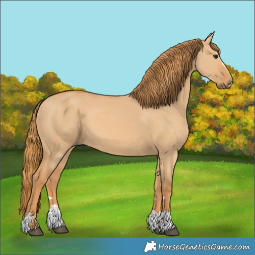 Horse Color:Red Dun 