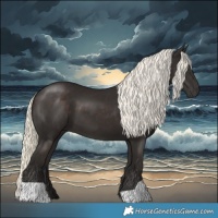 Horse Color:Liver Chestnut Mushroom