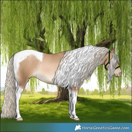 Horse Color:Chocolate Palomino Pearl Tobiano Rabicano 