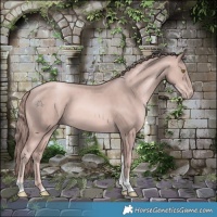 Horse Color:Platinum Gold Champagne Tobiano