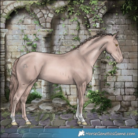 Horse Color:Platinum Gold Champagne Tobiano 