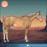 Horse Color:Gray Gold Cream Champagne 