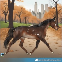 Horse Color:White Spotted Liver Chestnut Rabicano