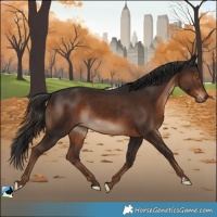 Horse Color:Liver Chestnut Rabicano 