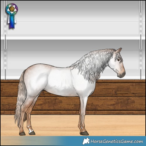 Horse Color:Gray Chestnut 