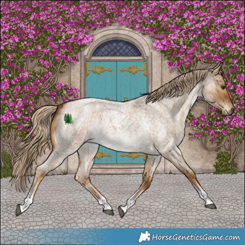 Horse Color:Chocolate Palomino Roan Dun Tobiano 