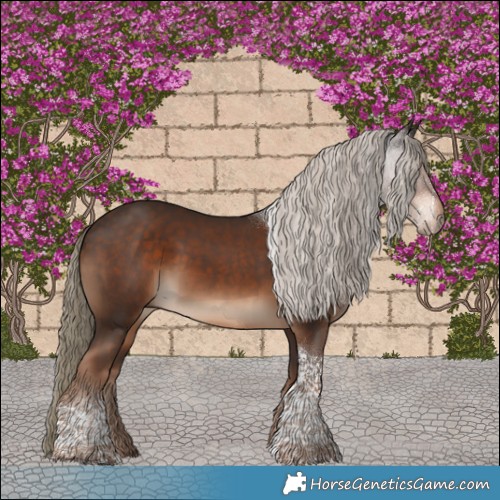 Horse Color:Liver Chestnut Tobiano 