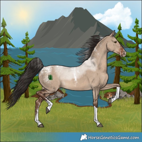 Horse Color:Powder White Liver Red Dun Tobiano Rabicano 