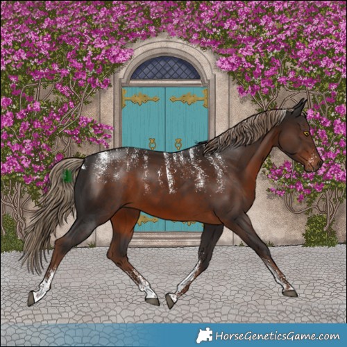 Horse Color:Powder White Liver Chestnut 