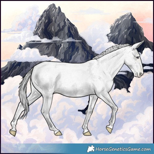 Horse Color:Buckskin Chinchilla Ice Roan Pearl 