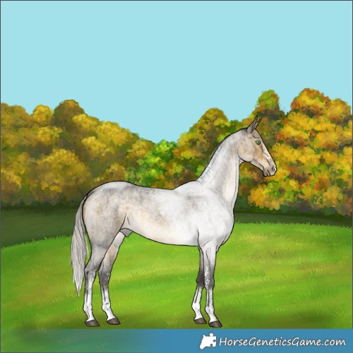 Horse Color:Silver Buckskin Roan Dun Sabino Rabicano Brindle 