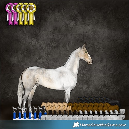 Horse Color:Silver Buckskin Roan Dun Sabino Rabicano Brindle 