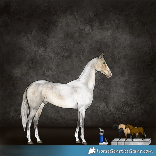 Horse Color:Silver Buckskin Roan Dun Sabino Rabicano Brindle 