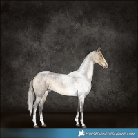 Horse Color:Silver Buckskin Roan Dun Sabino Rabicano Brindle 