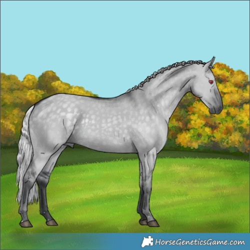 Horse Color:Silver Grullo Chinchilla 