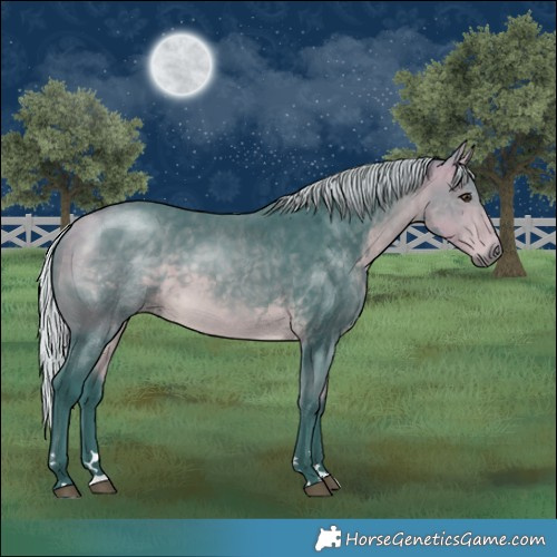 Horse Color:Watercolor Silver Buckskin 