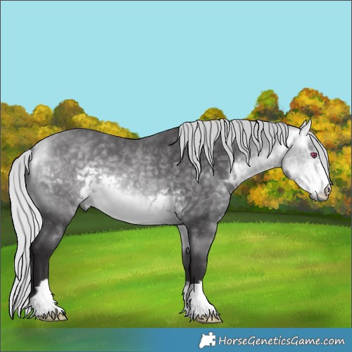 Horse Color:Silver Buckskin Chinchilla 