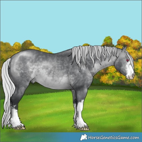 Horse Color:White Spotted Silver Brown Chinchilla 