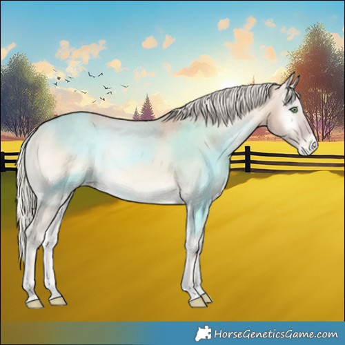 Horse Color:Cremello Onyx Varnish 